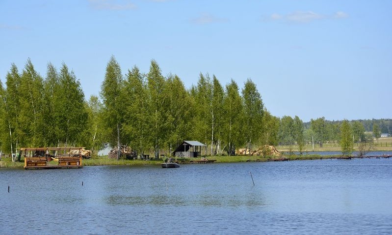 хлорелла для водоемов как использовать
